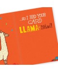 Greeting Card - GC2916-HAL014 - Wanted Your Birthday Fun To Last...